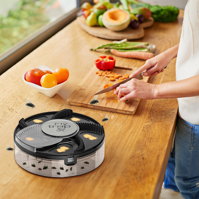 Fly Trap: Automatic, Removable Pest Catcher for Household & Kitchen